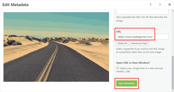 Adding a custom link to an image in Envira Gallery Adding a custom link to an image in Envira Gallery