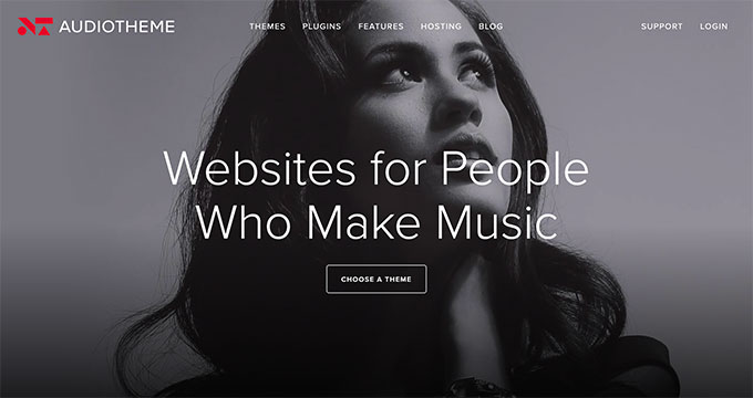 AudioTheme AudioTheme