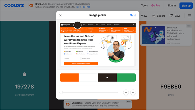 Utilizzo dello strumento contagocce su una foto in Coolors