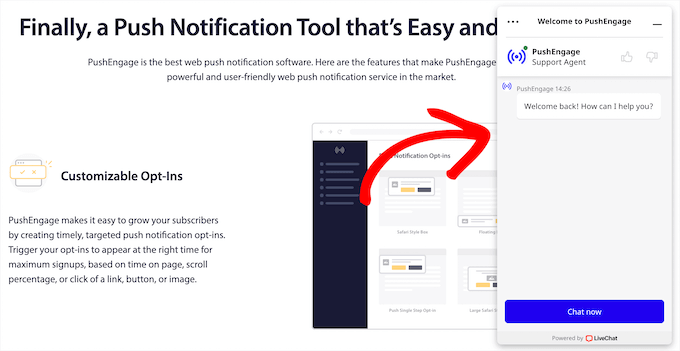 Live chat example Live chat example