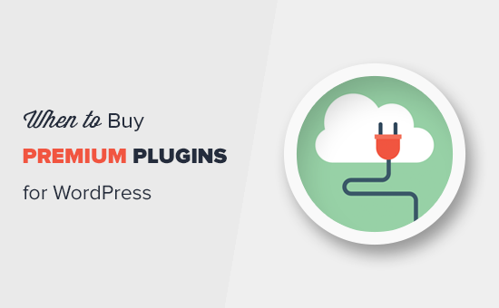 When is it worth buying premium WordPress plugins When is it worth buying premium WordPress plugins