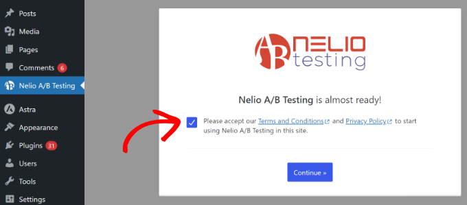 Accept Nelio testing terms of service Accept Nelio testing terms of service