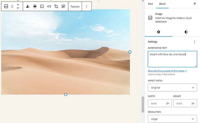 Image block settings in WordPress Image block settings in WordPress