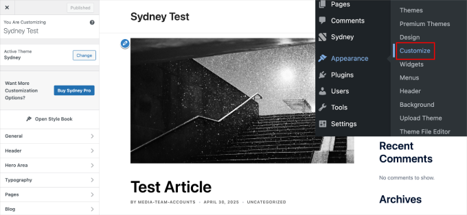 Sydney theme customizer