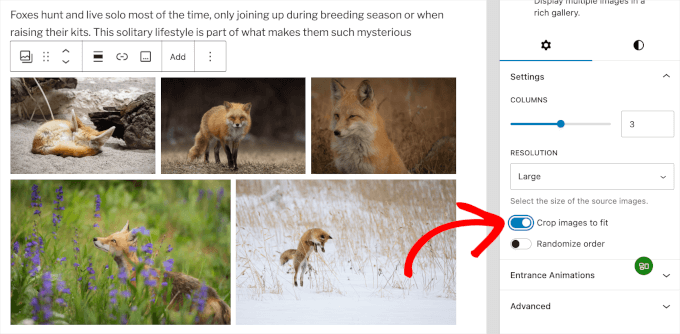 Crop images to fit to make your gallery looks neat Crop images to fit to make your gallery looks neat