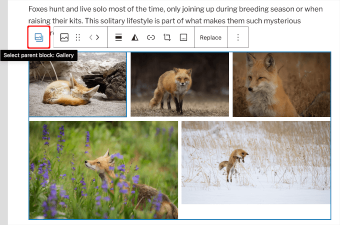 The Select parent block: Gallery icon The Select parent block: Gallery icon