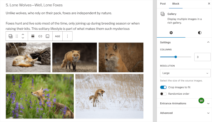 A 3-column gallery A 3-column gallery