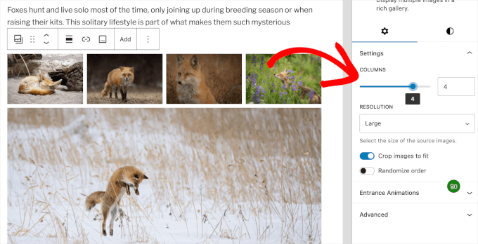 A 4-column gallery A 4-column gallery