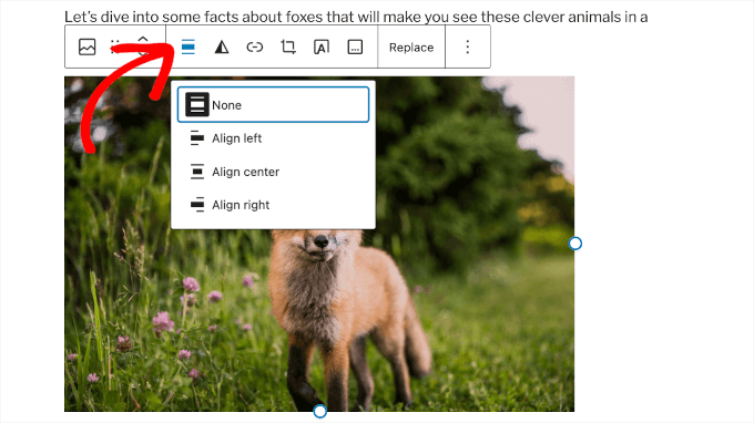 Image alignment buttons in WordPress post editor Image alignment buttons in WordPress post editor