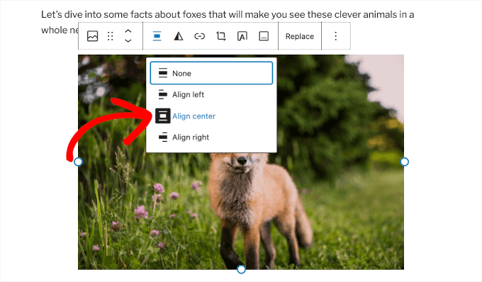 Center align an image in WordPress Center align an image in WordPress