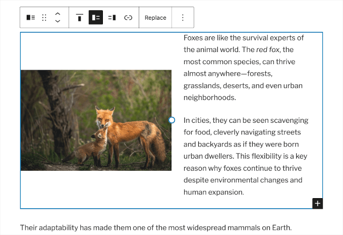 Image size adjusts to align vertically Image size adjusts to align vertically