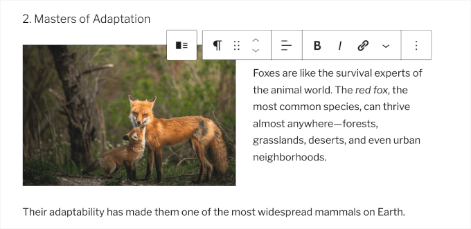 Adding media and text to the block Adding media and text to the block