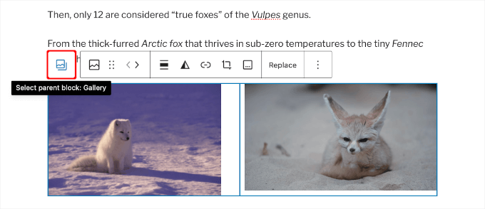 Gallery block icon to open customization options Gallery block icon to open customization options