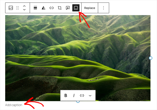 Pulsante didascalia immagine WordPress