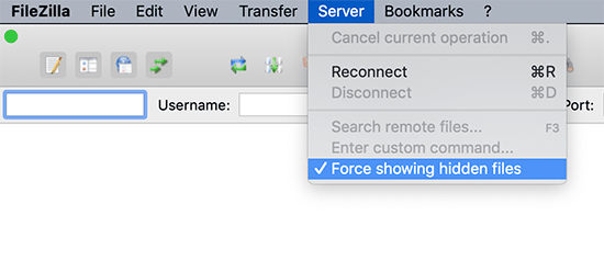 Show hidden files in FileZilla Show hidden files in FileZilla