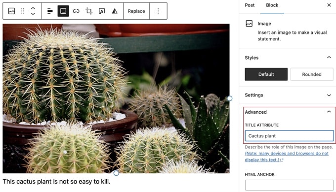 Lägga till en bildtitel i blockredigeraren Lägga till en bildtitel i blockredigeraren