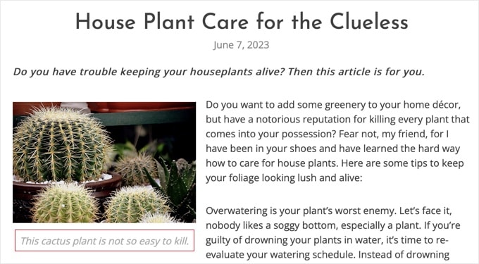 Exempel på en bildtext som visas under en bild Exempel på en bildtext som visas under en bild