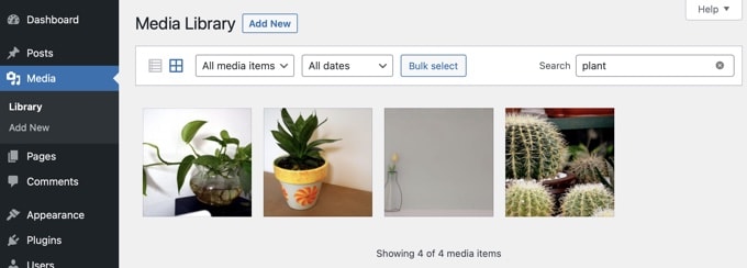 Sök bild efter titel Sök bild efter titel