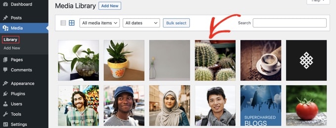 WordPress mediebibliotek WordPress mediebibliotek