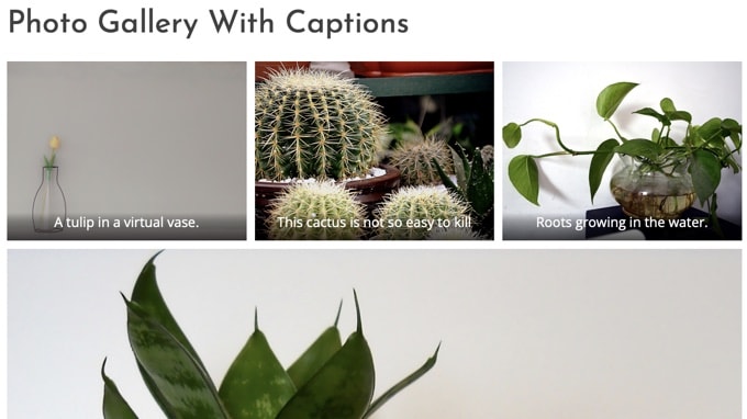 Ett bildgalleri med bildtexter för varje bild Ett bildgalleri med bildtexter för varje bild