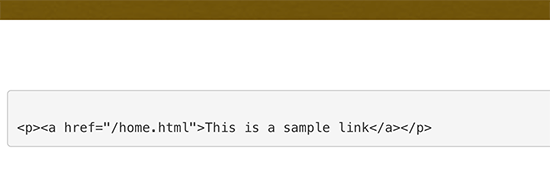 Visa kod manuellt i WordPress
