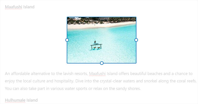 Spotlight Mode highlights one block at a time Spotlight Mode highlights one block at a time