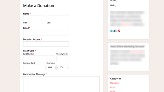 Stripe donation form preview Stripe donation form preview
