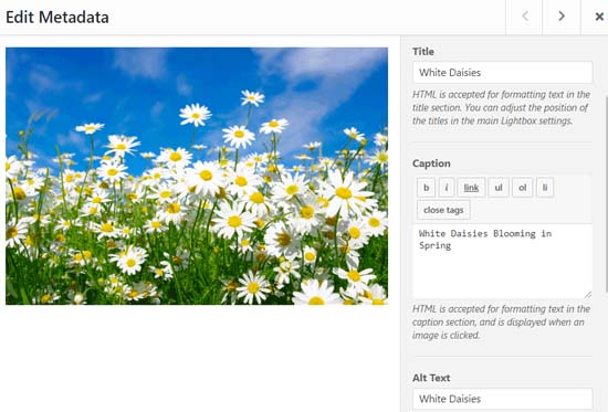 Edit Gallery Image Metadata Edit Gallery Image Metadata