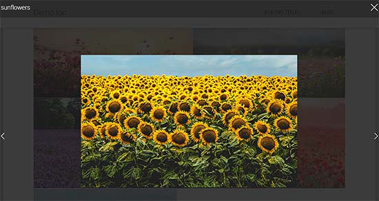 Envira Gallery Image in the Lightbox Popup Envira Gallery Image in the Lightbox Popup