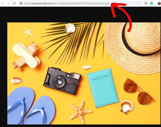 WordPress'te Resimlerin URL'sini Alma