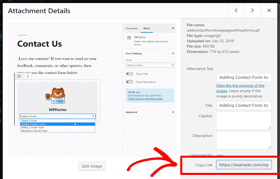 WordPress'te gif URL'si