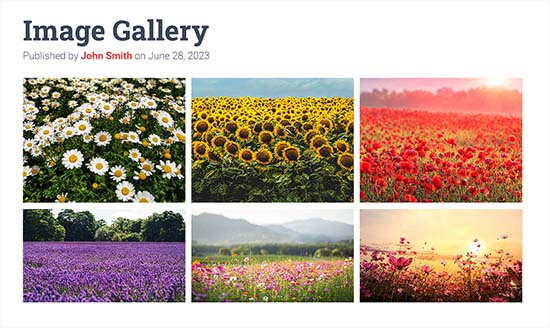 Preview of WordPress Photo Gallery Using Default Gallery Block Image gallery preview