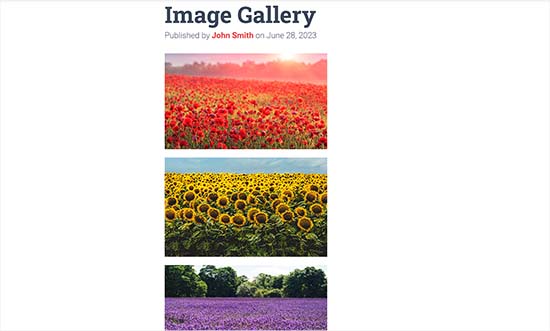 Images added with the Image block Images added with the Image block