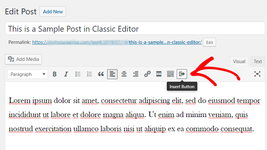 Insert Button Icon in Classic WordPress Editor Insert Button Icon in Classic WordPress Editor