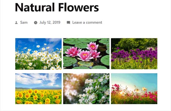 WordPress Photo Gallery Created with Envira Gallery WordPress Photo Gallery Created with Envira Gallery