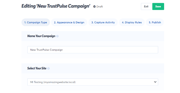 Introduceți numele campaniei și selectați site-ul