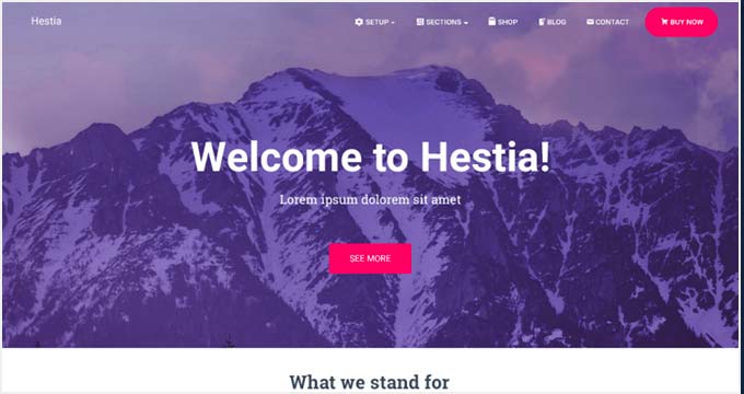 Hestia Free Theme Hestia Free Theme