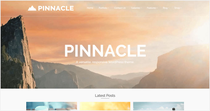 Pinnacle Pinnacle