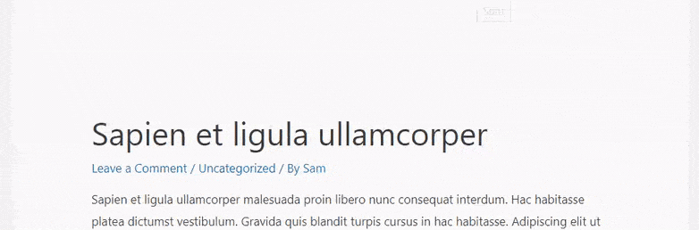 Previzualizare Scroll Infinit WordPress Previzualizare Scroll Infinit WordPress