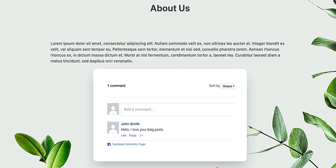 SeedProdでのFacebookコメントプレビュー