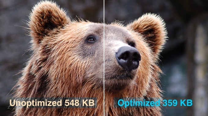Optimized vs Unoptimized Images in WordPress