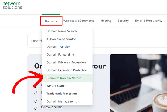 Nombres de dominio premium de Network Solutions