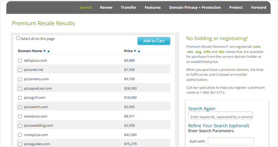 Resultados de reventa de dominios premium de Network Solutions