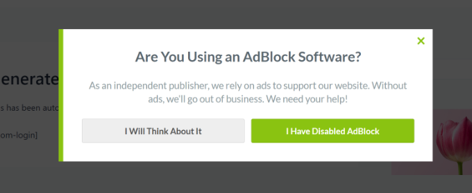 AdBlock detector popup Ad blocker campaign preview