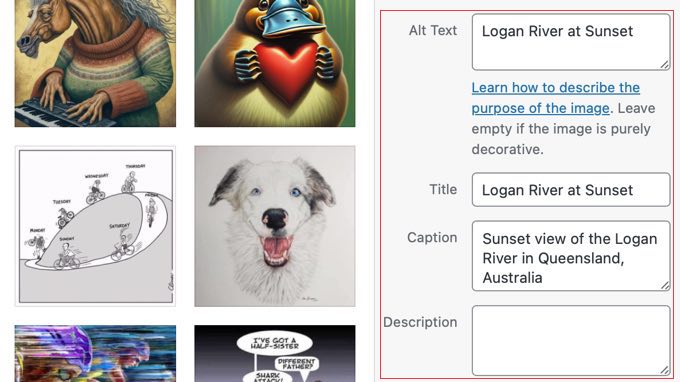 Adding a Caption in the WordPress Media Library