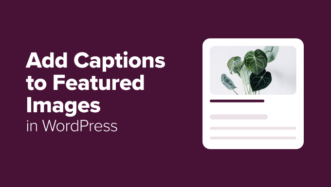 How to Add Captions to Featured Images in WordPress