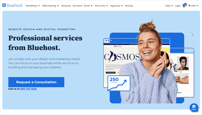 Bluehost Professional Services