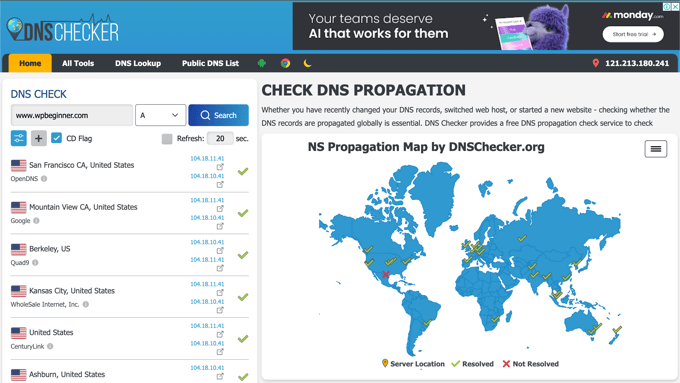 Check for DNS updates
