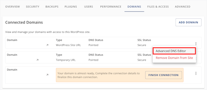 Deschiderea editorului DNS avansat