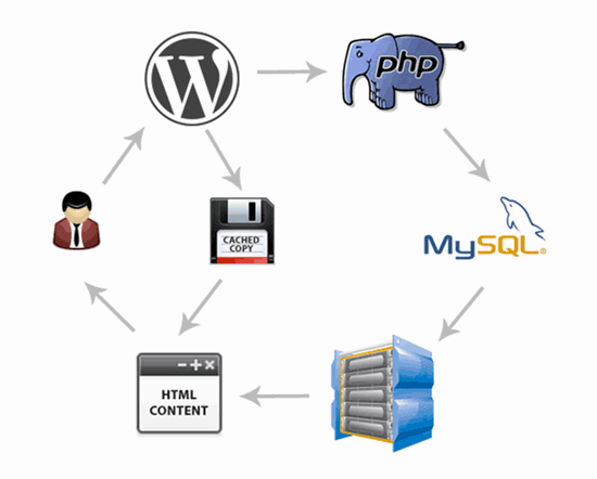 WordPress caching process WordPress caching process diagram